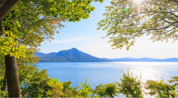 地域に根ざした法律事務所